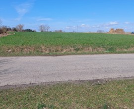 Grunt rolny 1,58 ha Wierzbinek