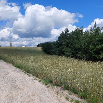 Działka budowlana Licheń Stary