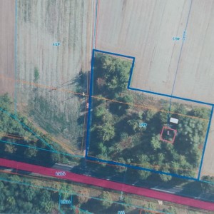 Działka Wola Koszucka