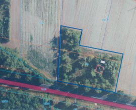 Działka inwestycyjna pod AG, Słupca, Wola Koszucka - Parcele