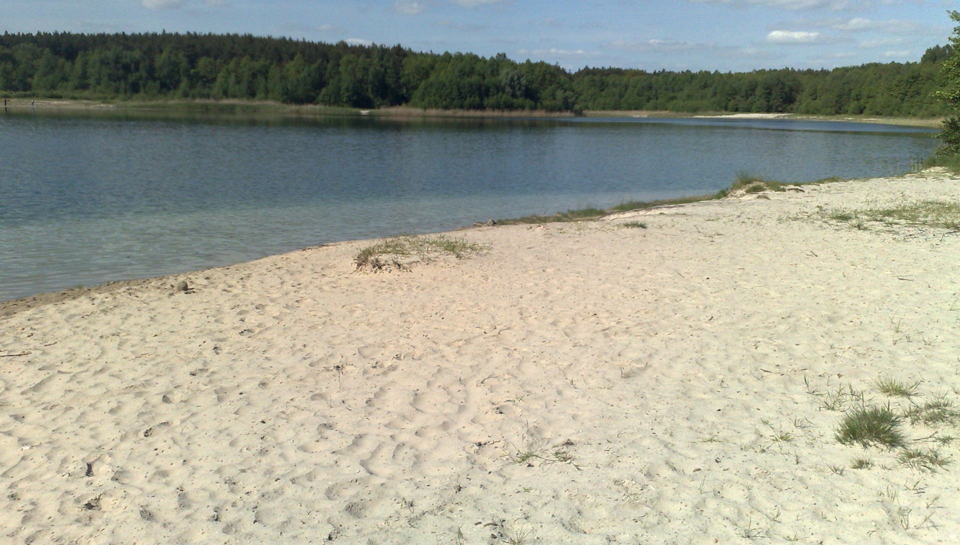 201005261380