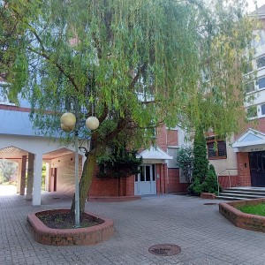 20260520_095104