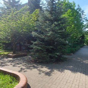 20260520_095139
